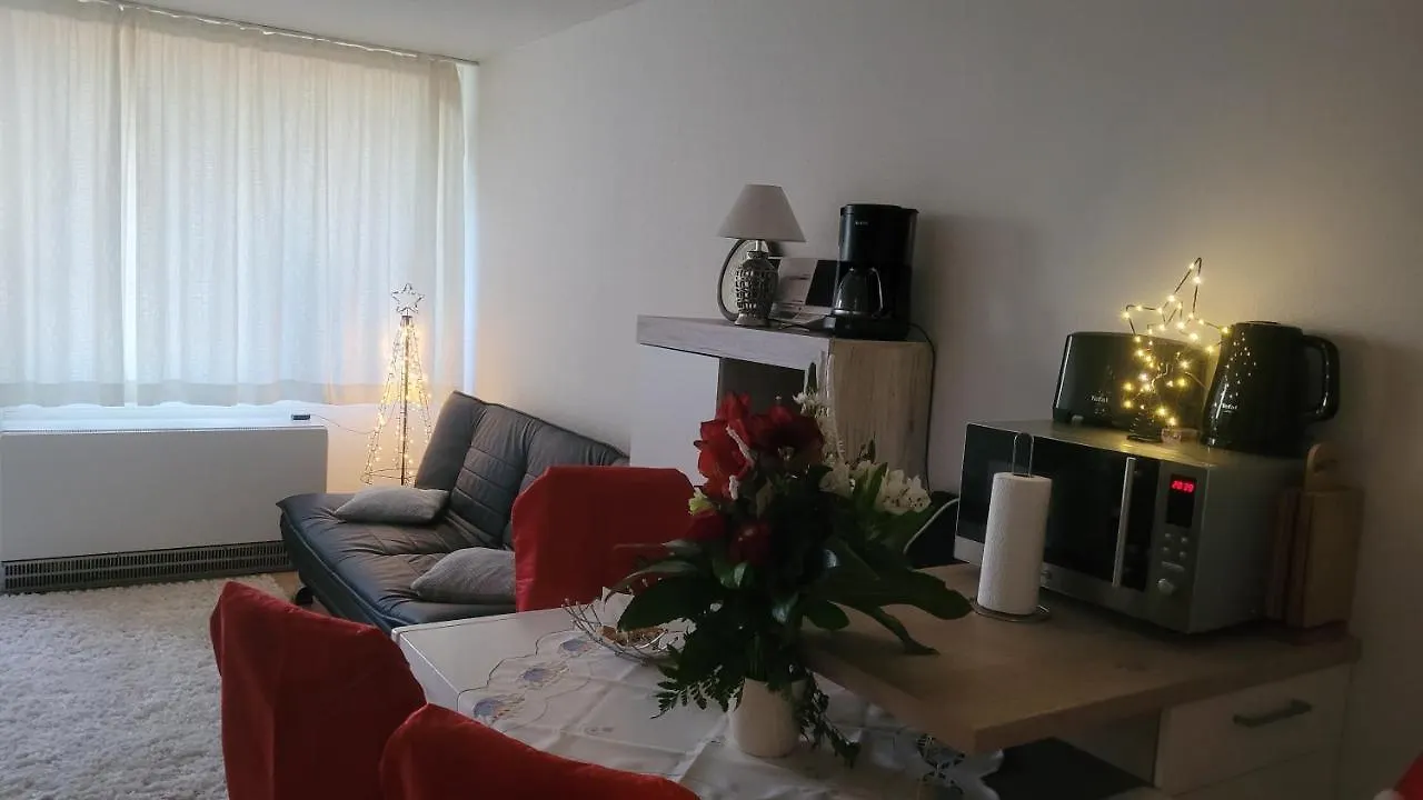 Ryan Apartament Mit Netflix Sankt Englmar Hotel